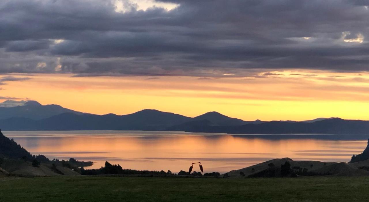 Hilltop Whakaipo Estate Таупо Экстерьер фото
