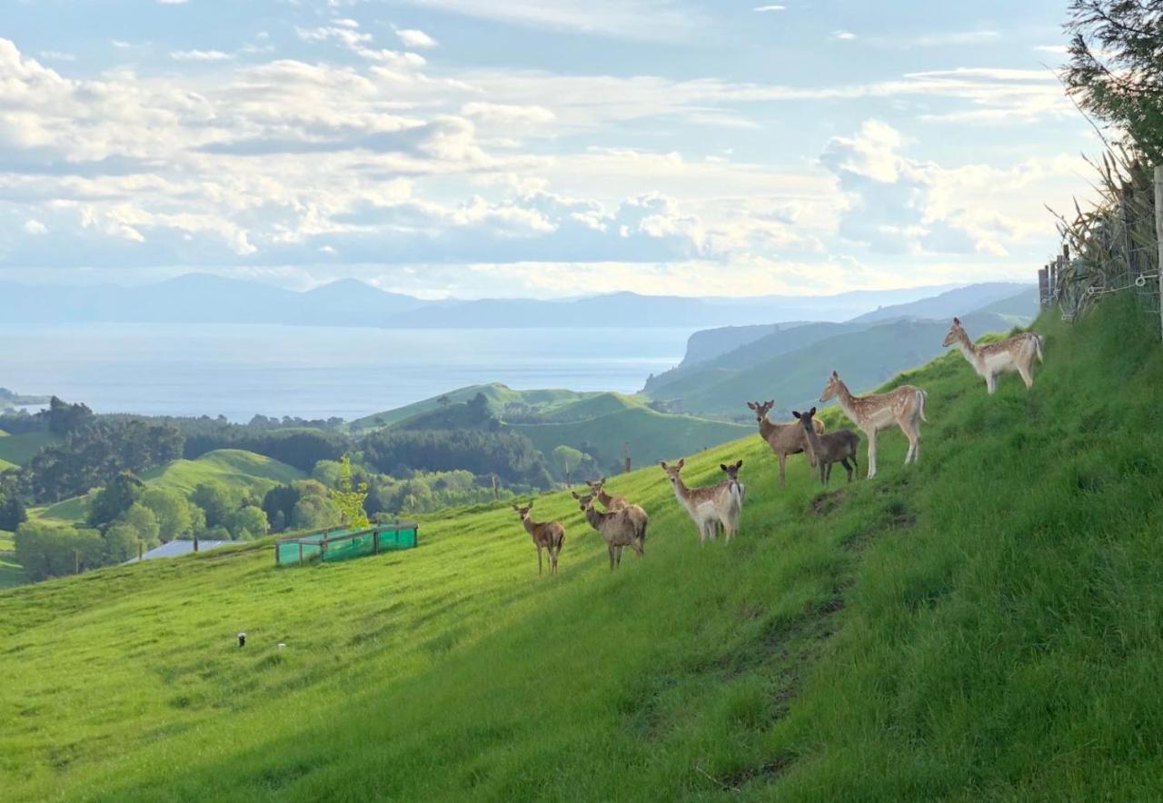 Hilltop Whakaipo Estate Таупо Экстерьер фото