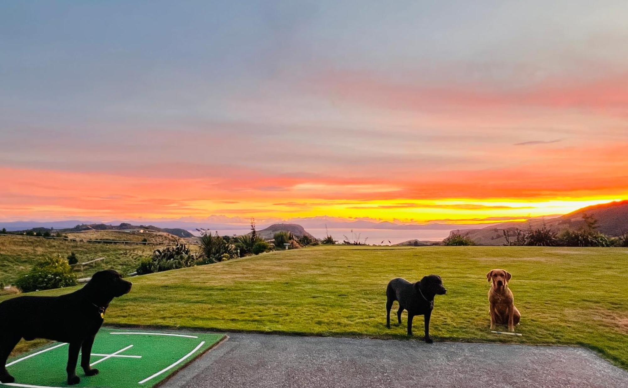 Hilltop Whakaipo Estate Таупо Экстерьер фото